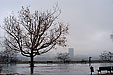 Belgrade@Serbia.Europe.World
2002:12:01 11:55

(c) Zoran Zivotic 2002